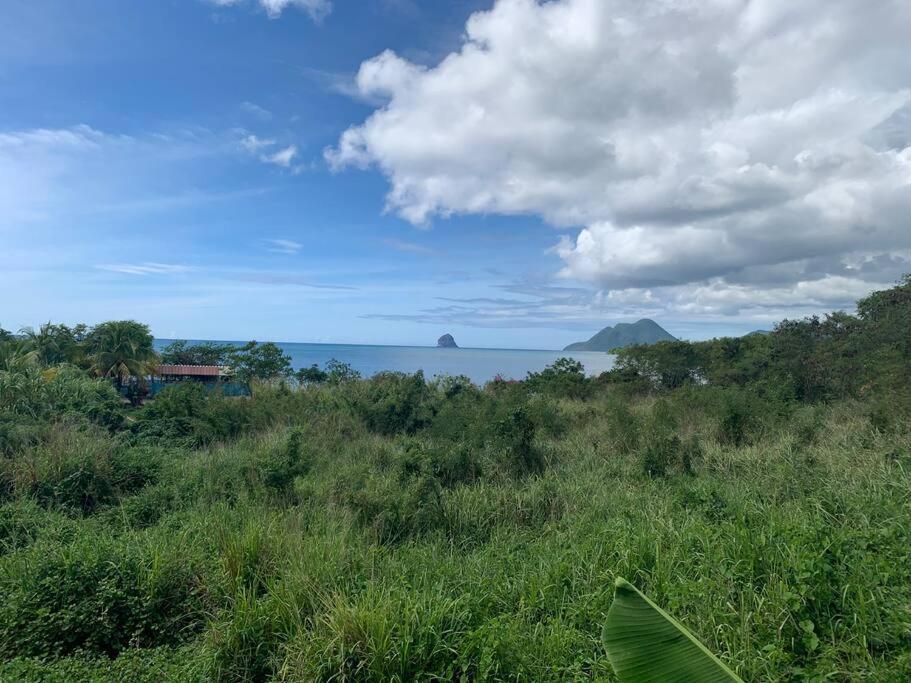Heritage Creole 1 Sainte-Luce Bagian luar foto